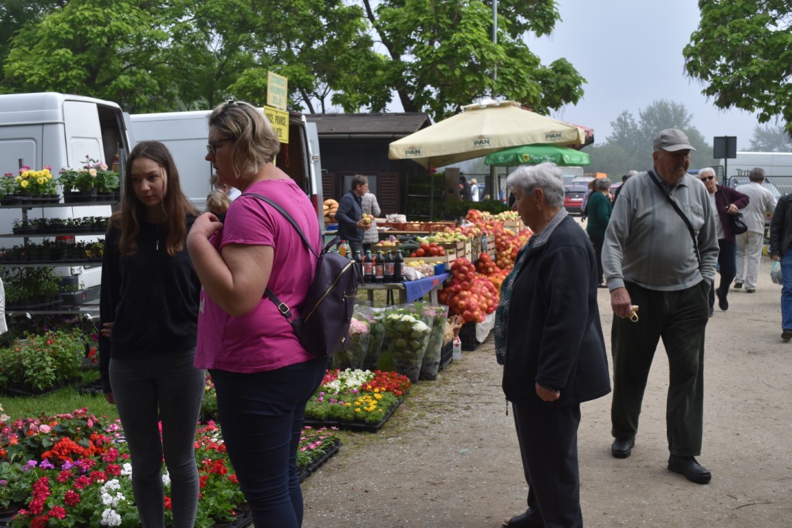 sajam srijedom (61) sajam srijedom (61)