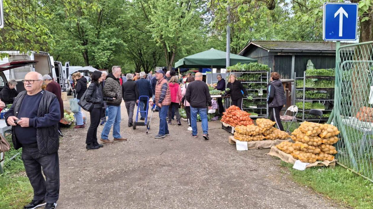 sajam srijedom svibanj 2025 (1)