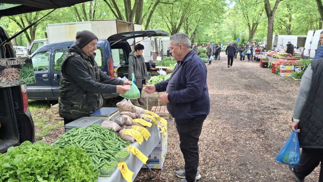 sajam srijedom svibanj 2025 (13)