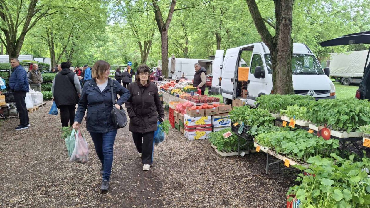 sajam srijedom svibanj 2025 (14)