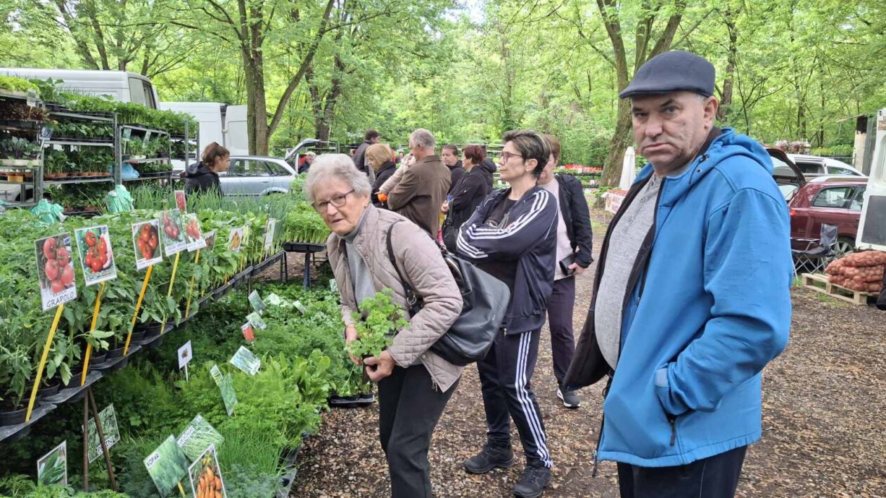 sajam srijedom svibanj 2025 (15)