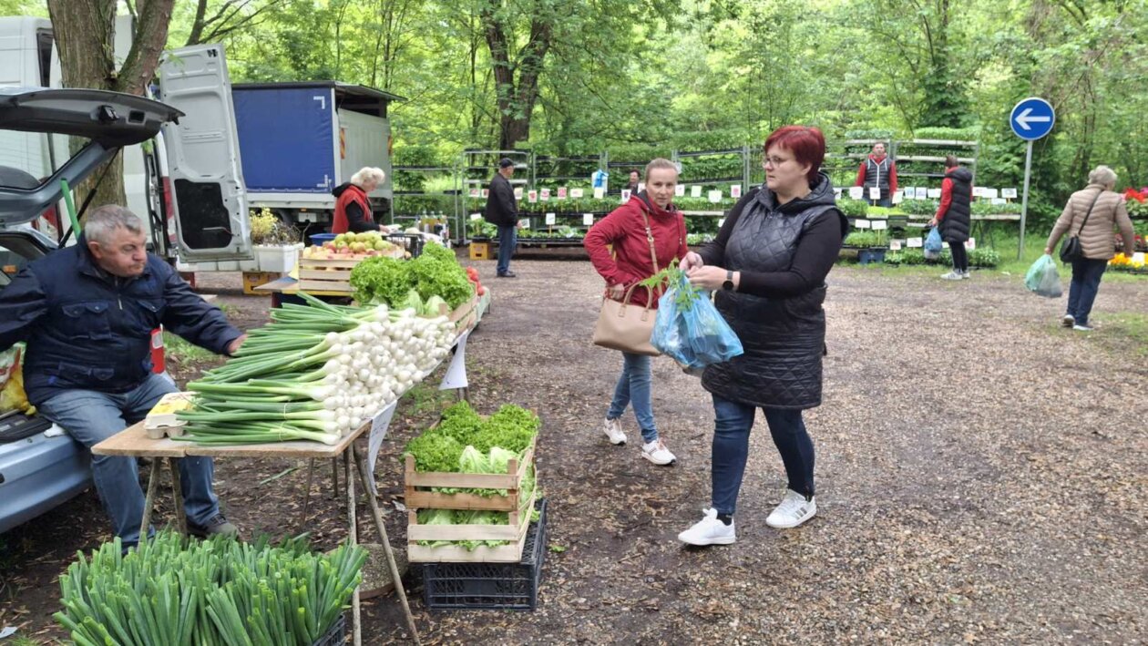 sajam srijedom svibanj 2025 (17)