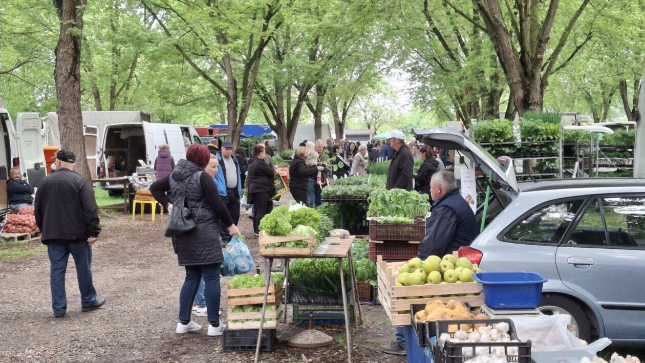 sajam srijedom svibanj 2025 (18)