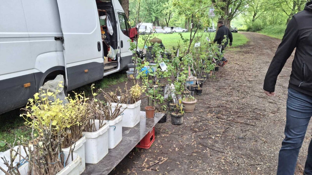 sajam srijedom svibanj 2025 (19)