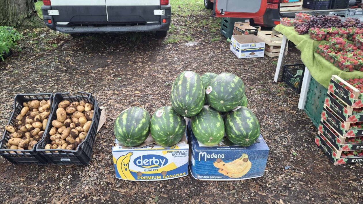 sajam srijedom svibanj 2025 (2)