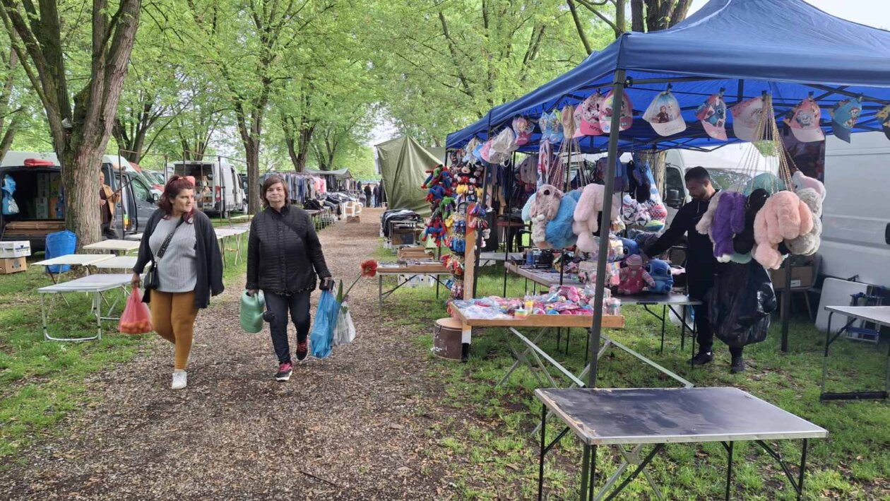 sajam srijedom svibanj 2025 (20)