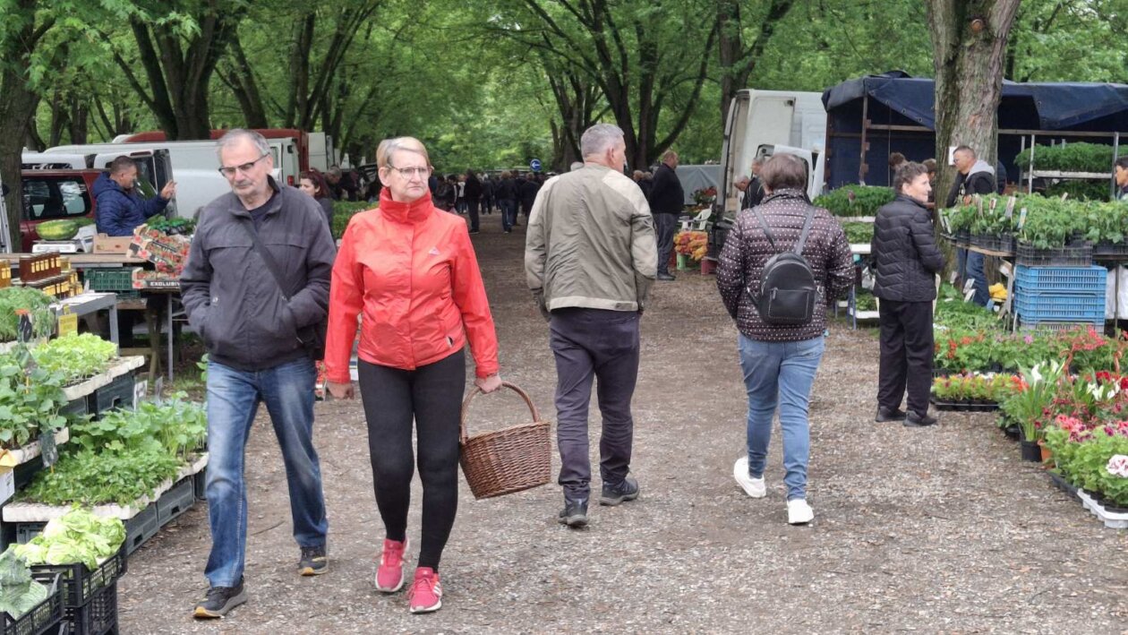 sajam srijedom svibanj 2025 (29)