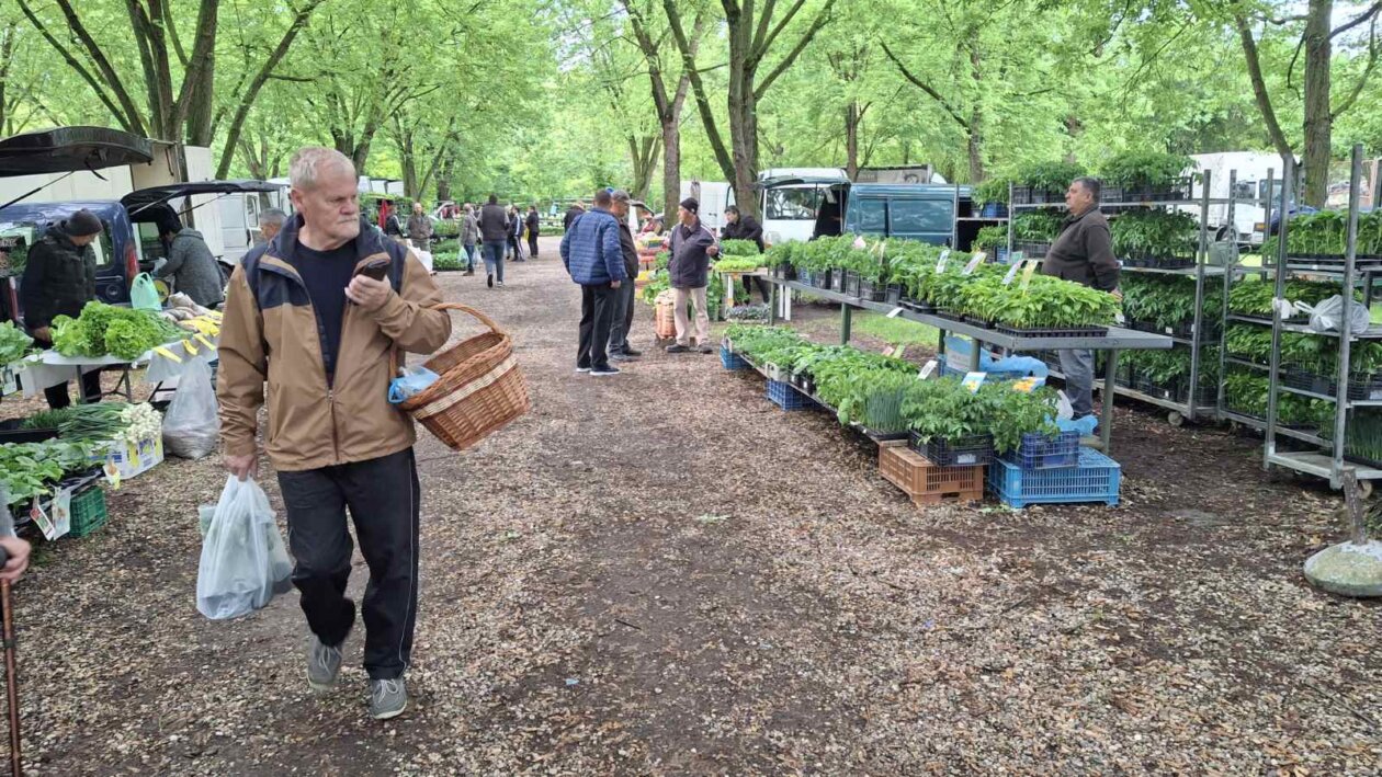 sajam srijedom svibanj 2025 (3)