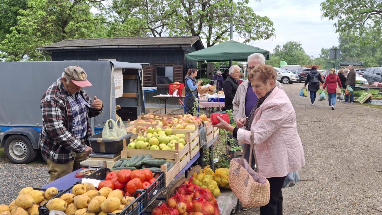 sajam srijedom svibanj 2025 (30)