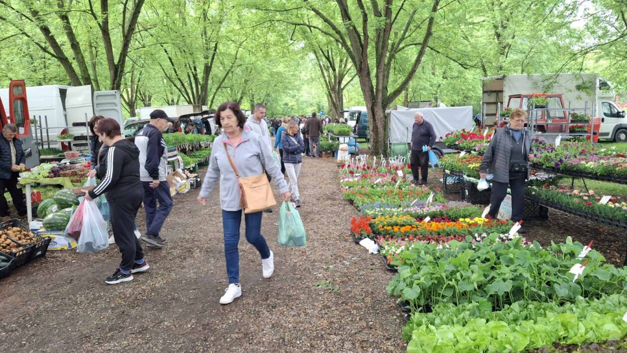 sajam srijedom svibanj 2025 (31)