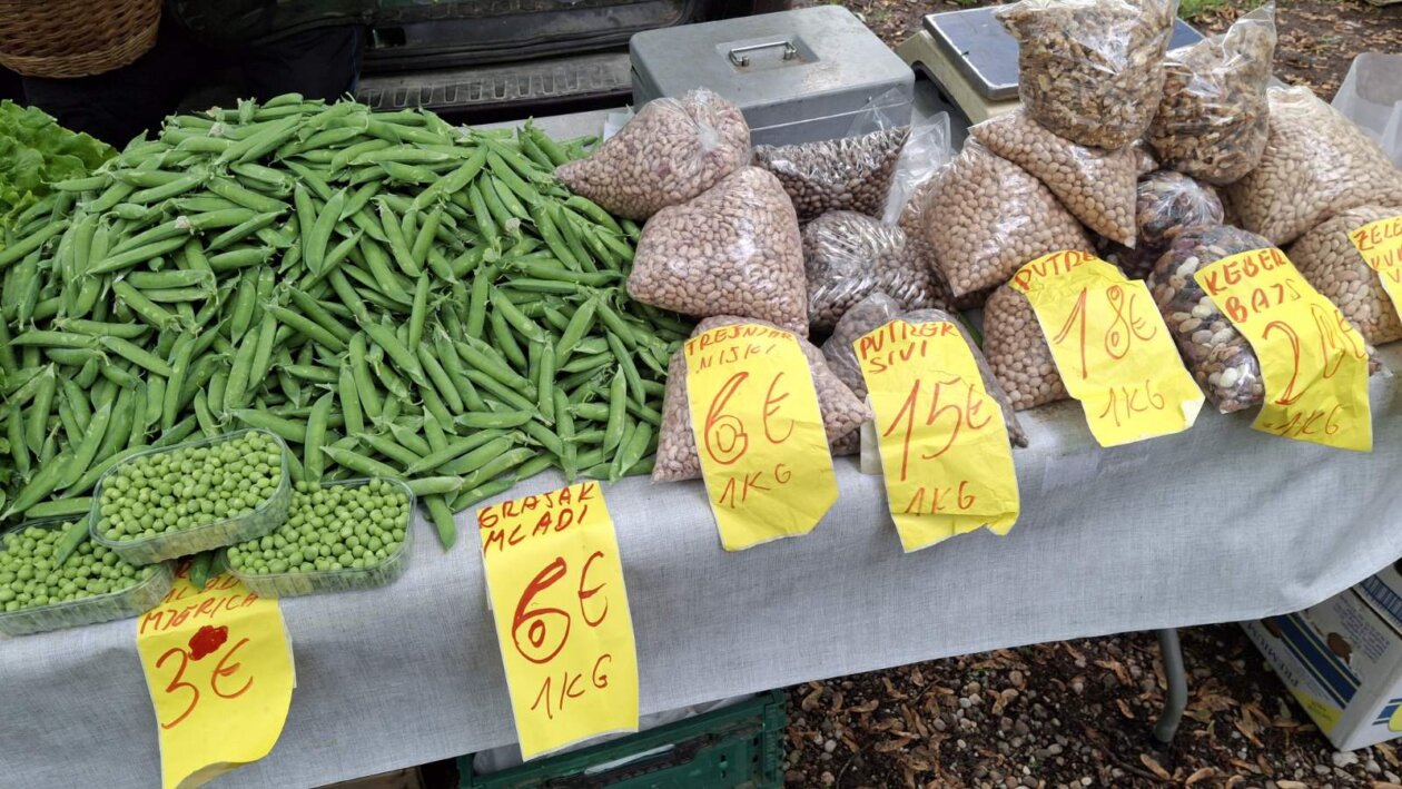 sajam srijedom svibanj 2025 (33)