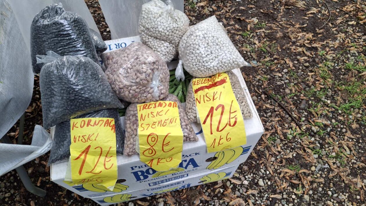 sajam srijedom svibanj 2025 (34)