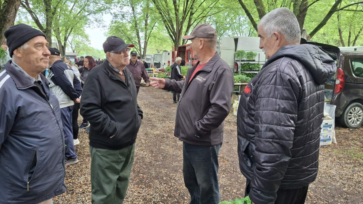 sajam srijedom svibanj 2025 (35)