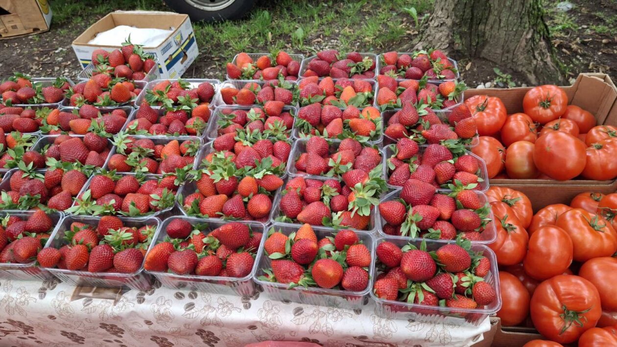 sajam srijedom svibanj 2025 (36)