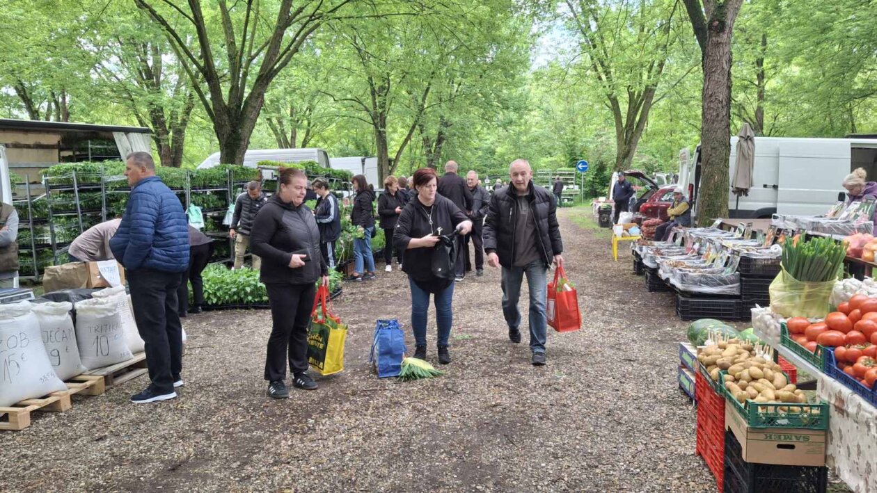 sajam srijedom svibanj 2025 (38)