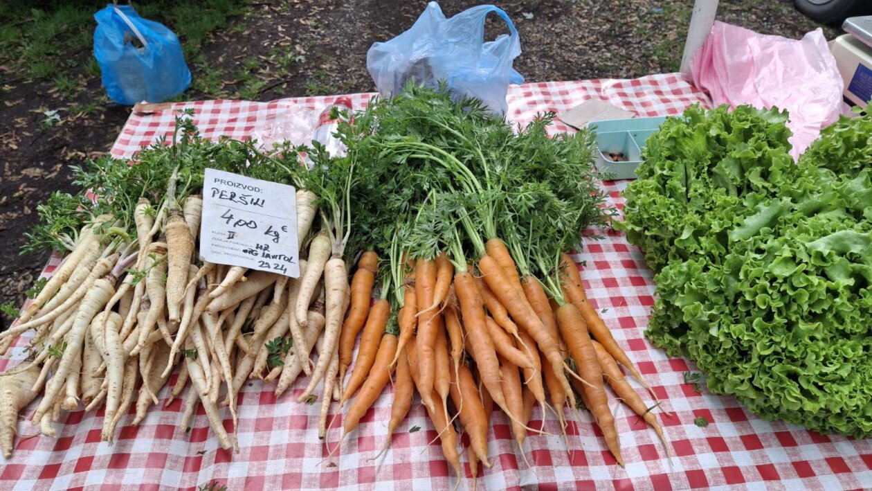 sajam srijedom svibanj 2025 (41)