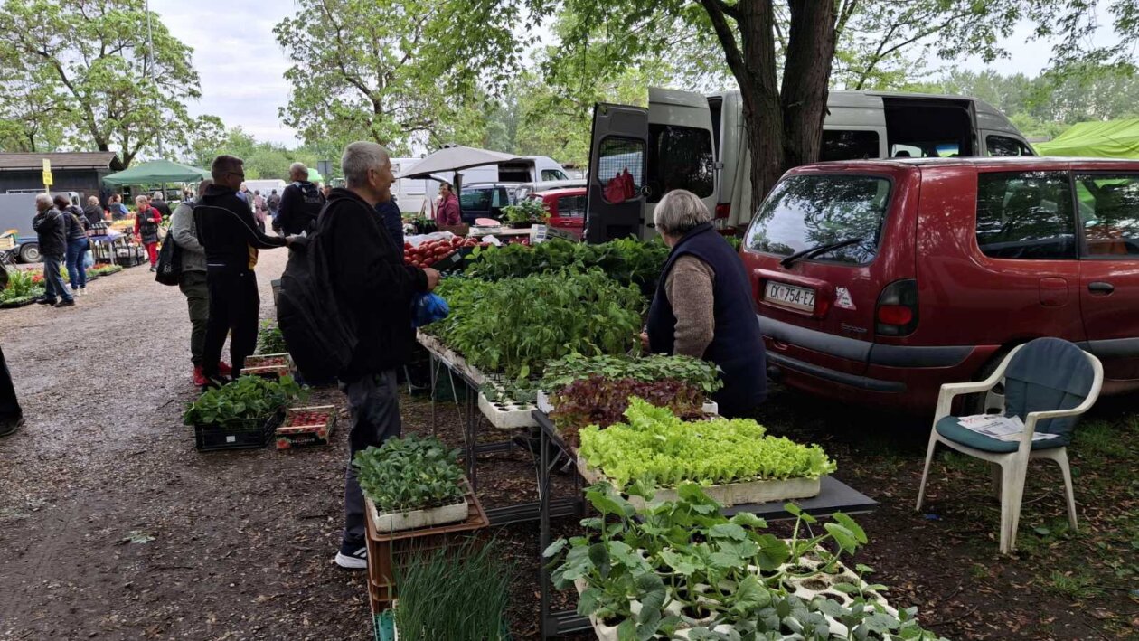 sajam srijedom svibanj 2025 (42)