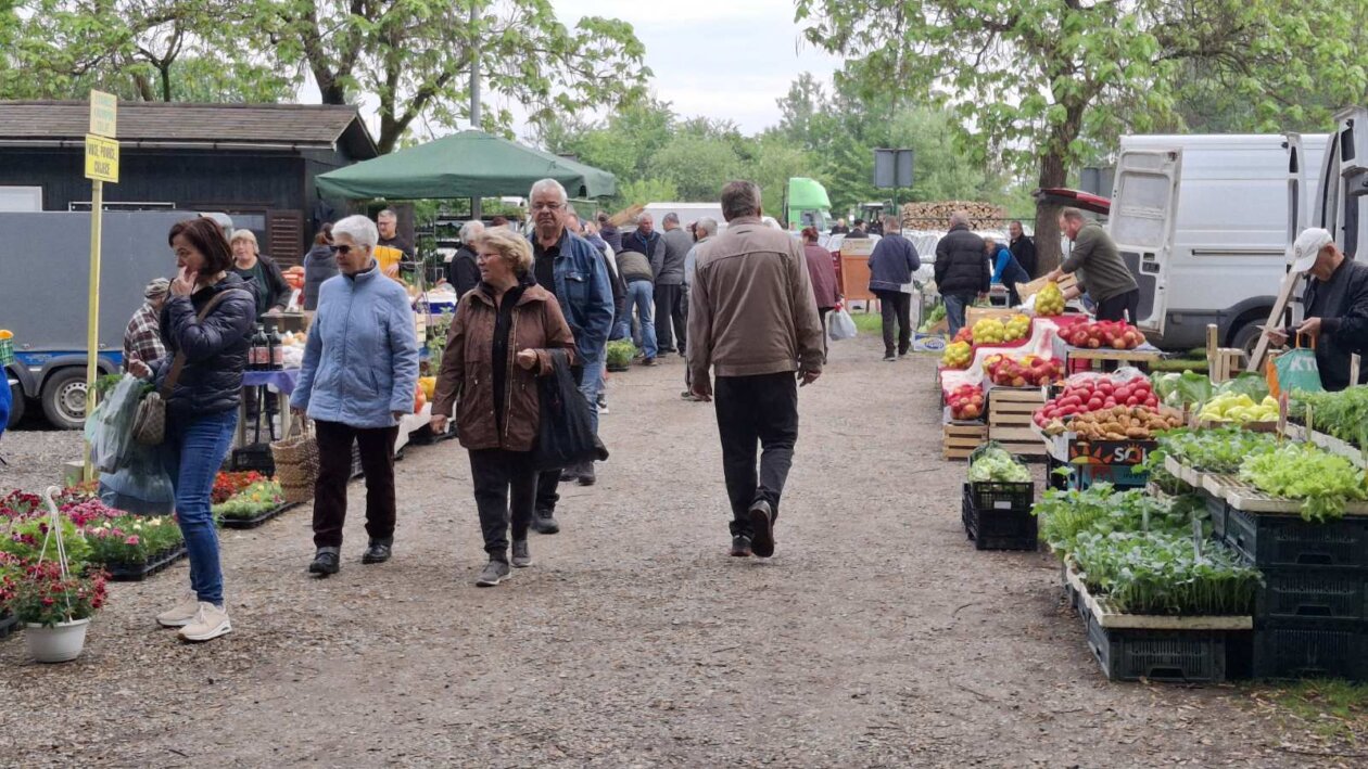 sajam srijedom svibanj 2025 (43)