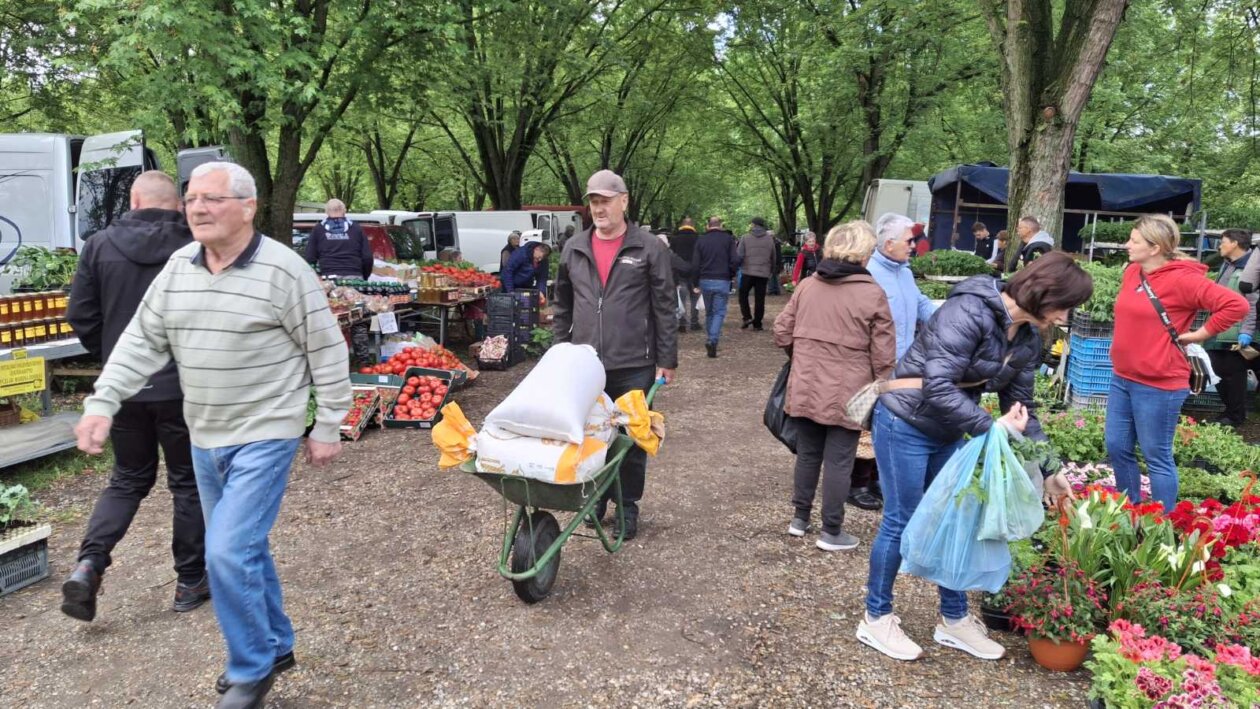 sajam srijedom svibanj 2025 (45)