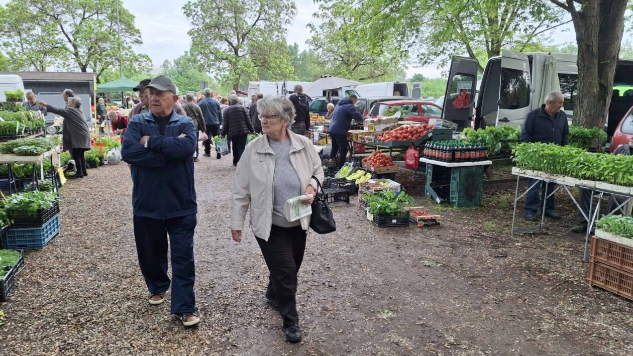 sajam srijedom svibanj 2025 (50)