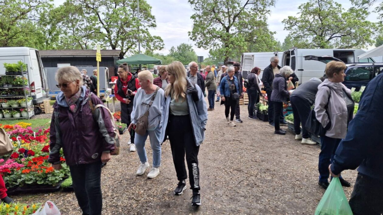 sajam srijedom svibanj 2025 (51)