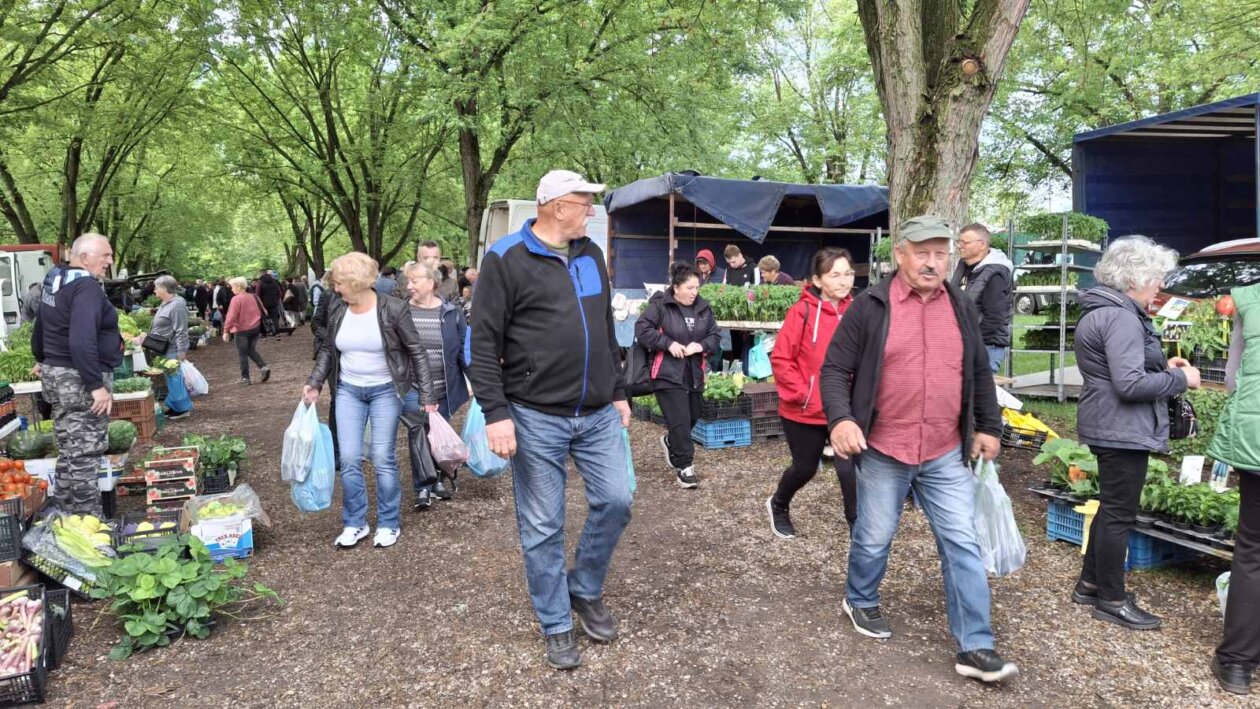 sajam srijedom svibanj 2025 (56)