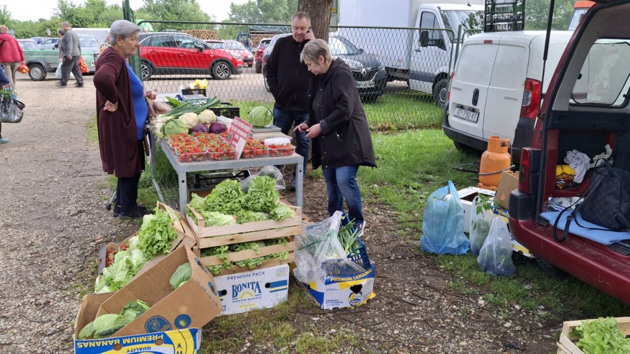 sajam srijedom svibanj 2025 (59)