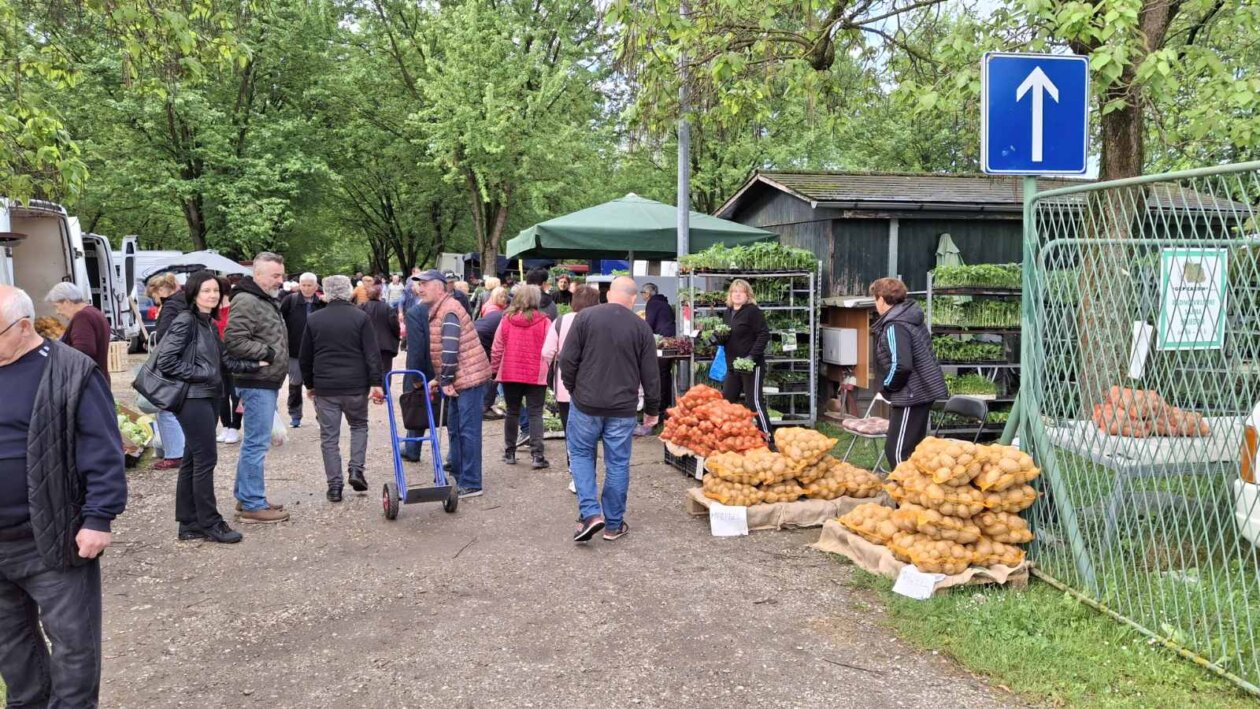 sajam srijedom svibanj 2025 (60)