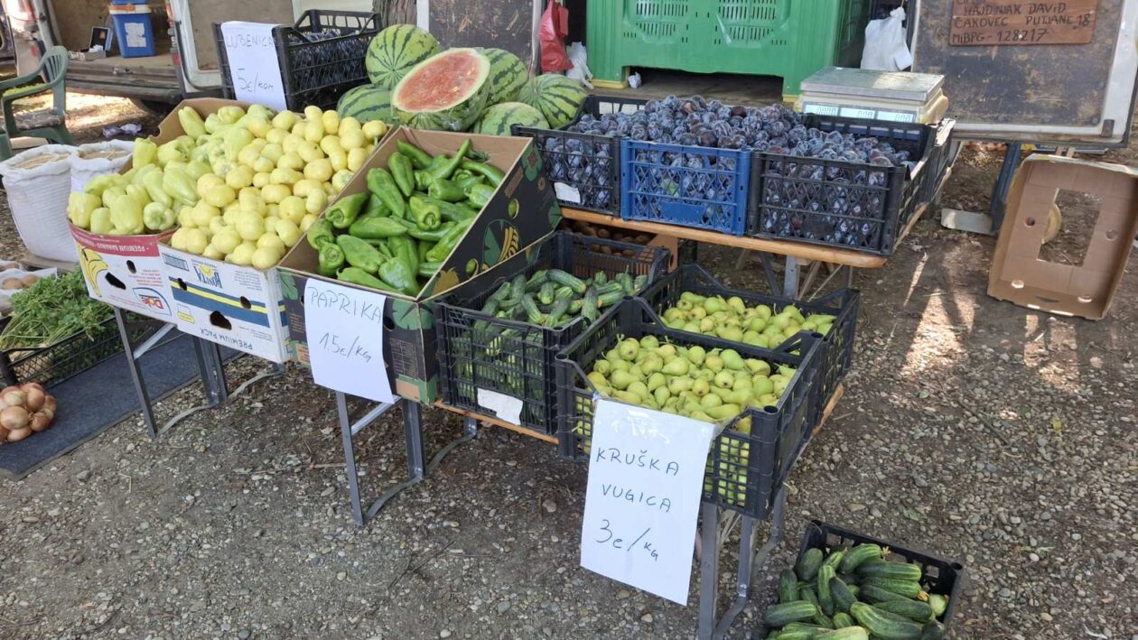 sajam srijedom23072025 (1) sajam srijedom23072025 (1)