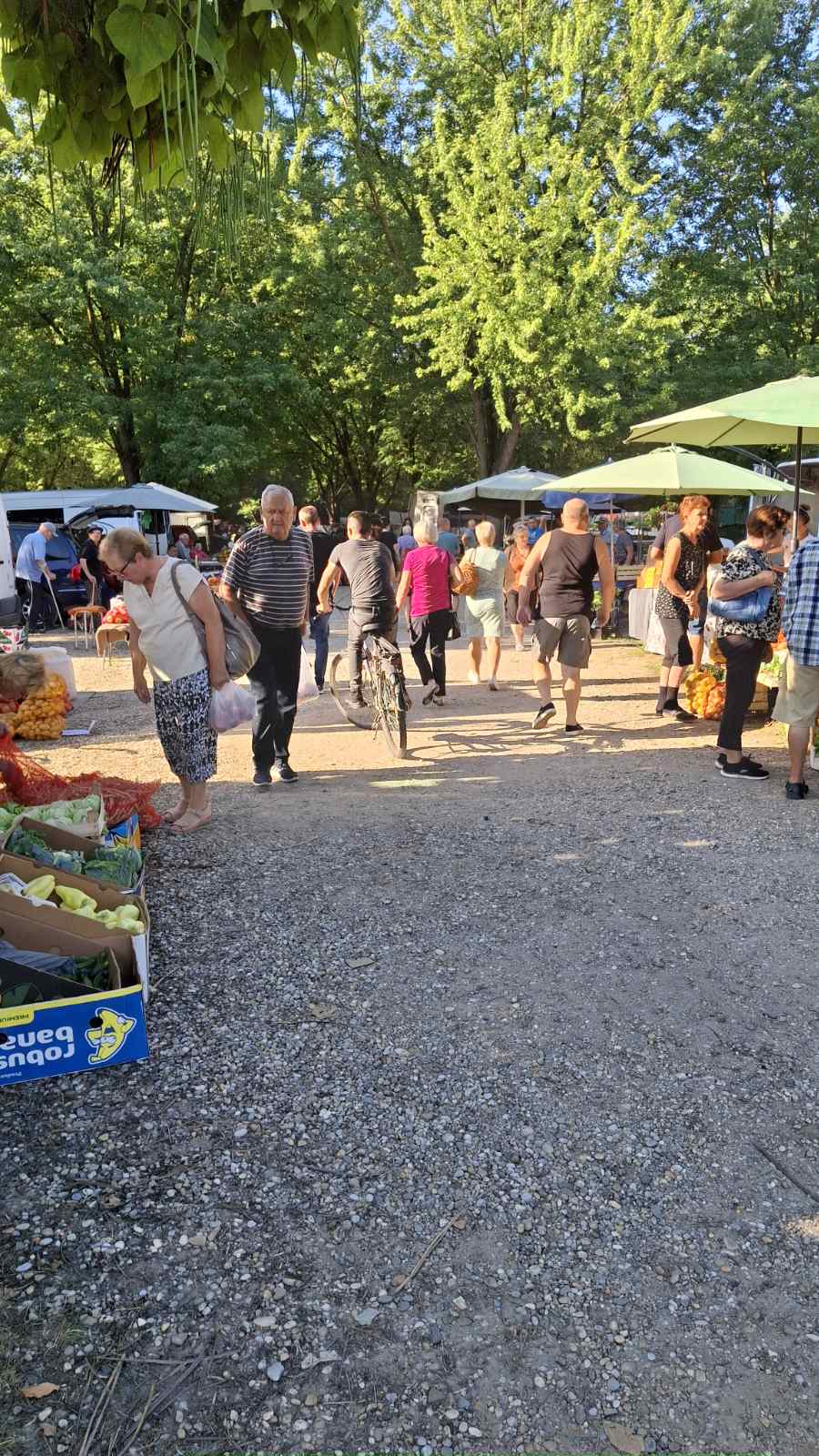 sajam srijedom23072025 (10)