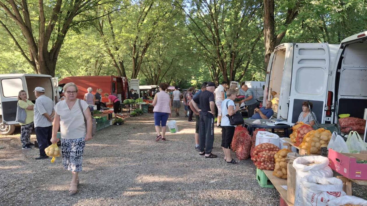 sajam srijedom23072025 (15) sajam srijedom23072025 (15)