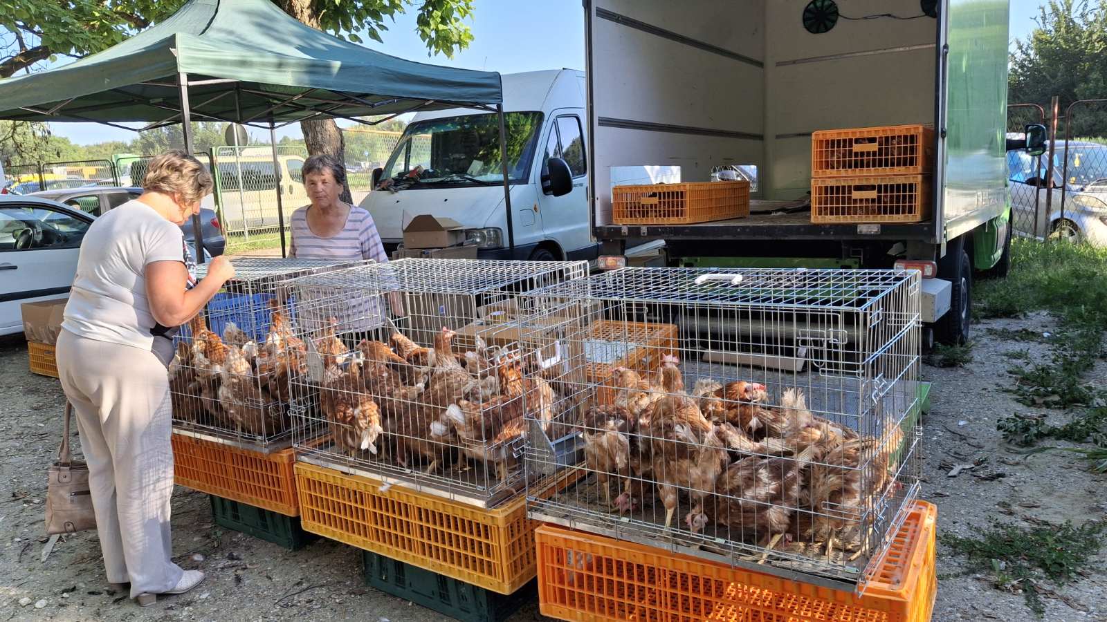 sajam srijedom23072025 (21)