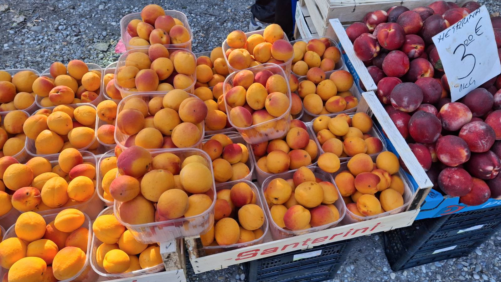 sajam srijedom23072025 (25)