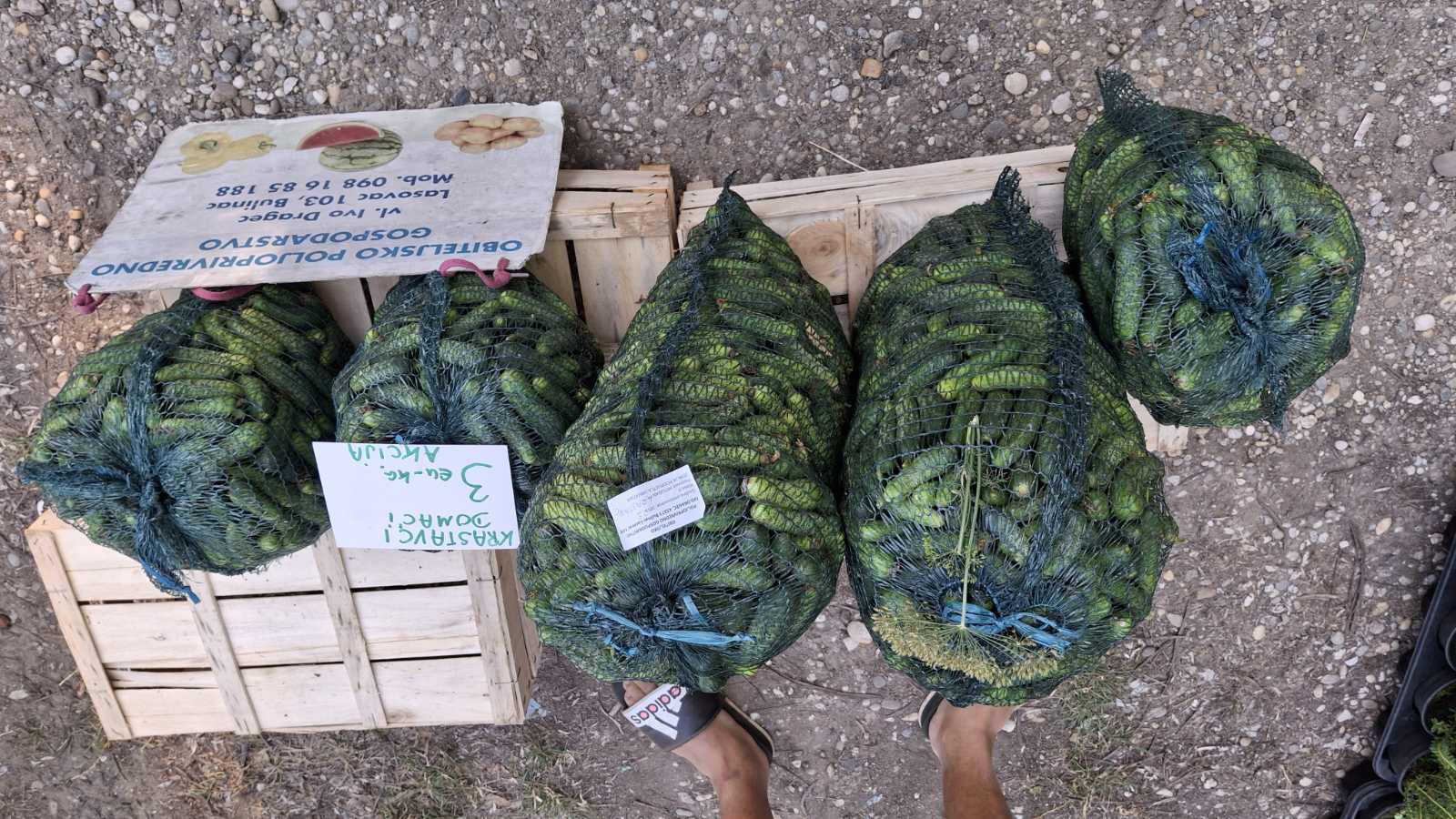 sajam srijedom23072025 (26)