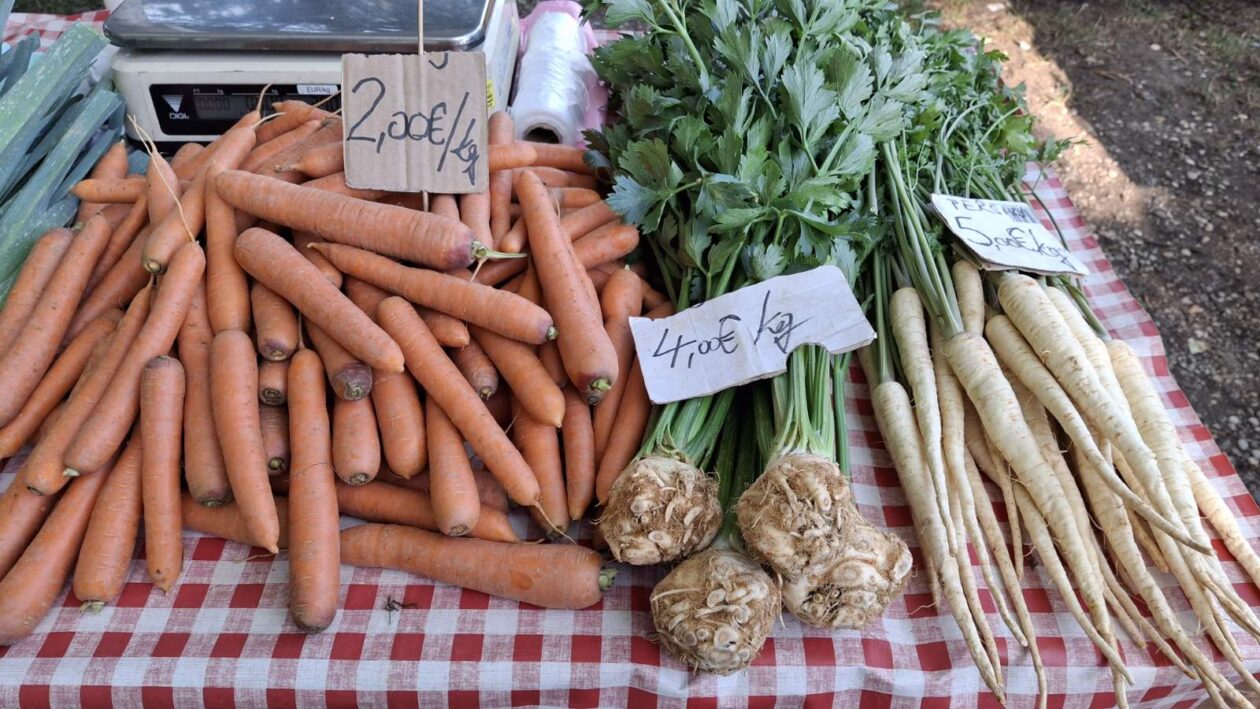 sajam srijedom23072025 (29) sajam srijedom23072025 (29)