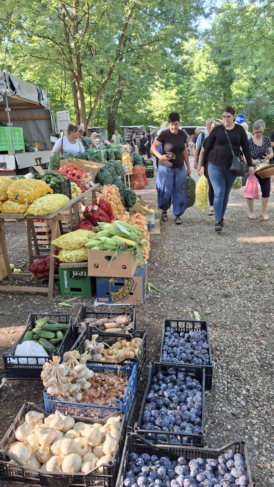 sajam srijedom23072025 (3)