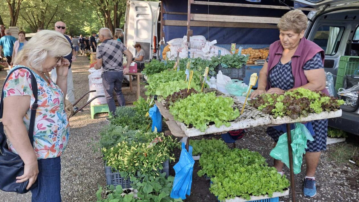 sajam srijedom23072025 (30) sajam srijedom23072025 (30)