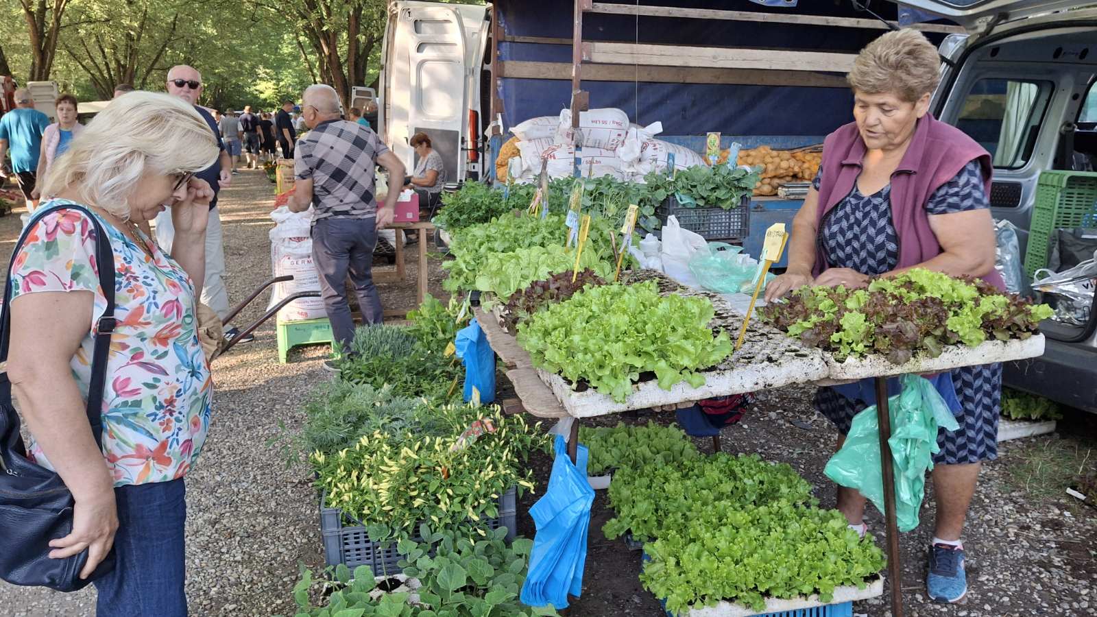 sajam srijedom23072025 (30)