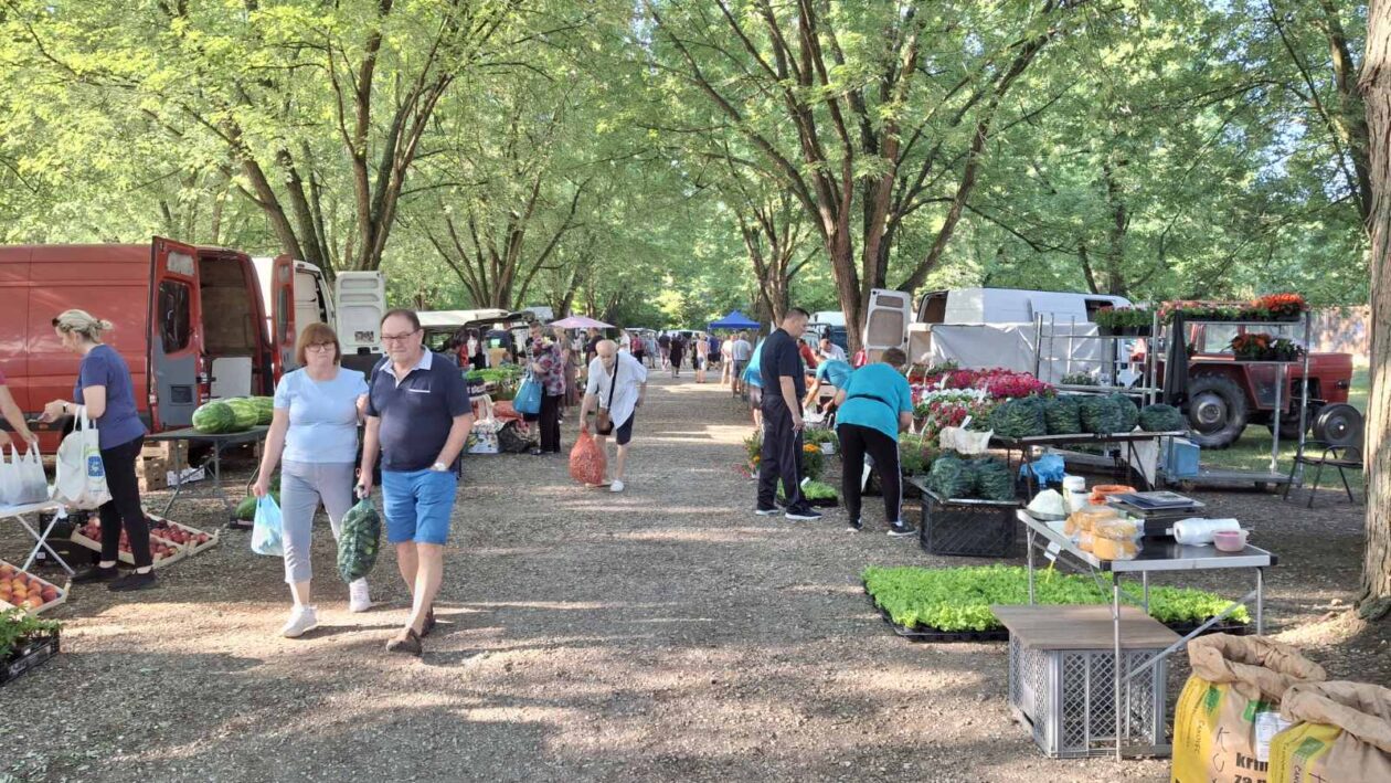 sajam srijedom23072025 (32) sajam srijedom23072025 (32)