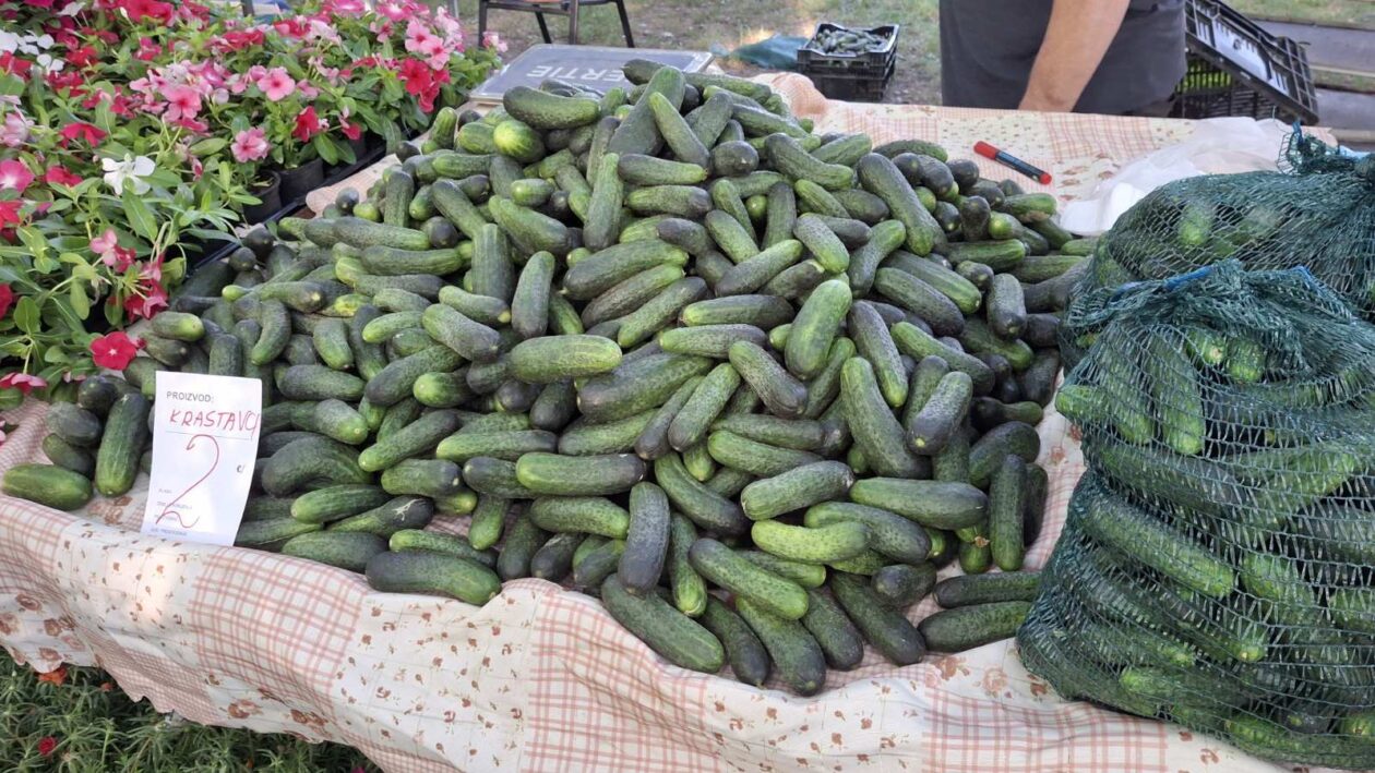 sajam srijedom23072025 (33) sajam srijedom23072025 (33)