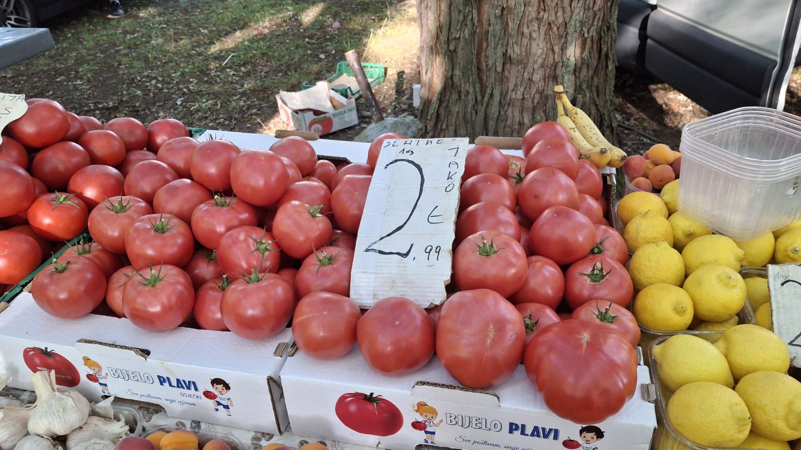 sajam srijedom23072025 (34)