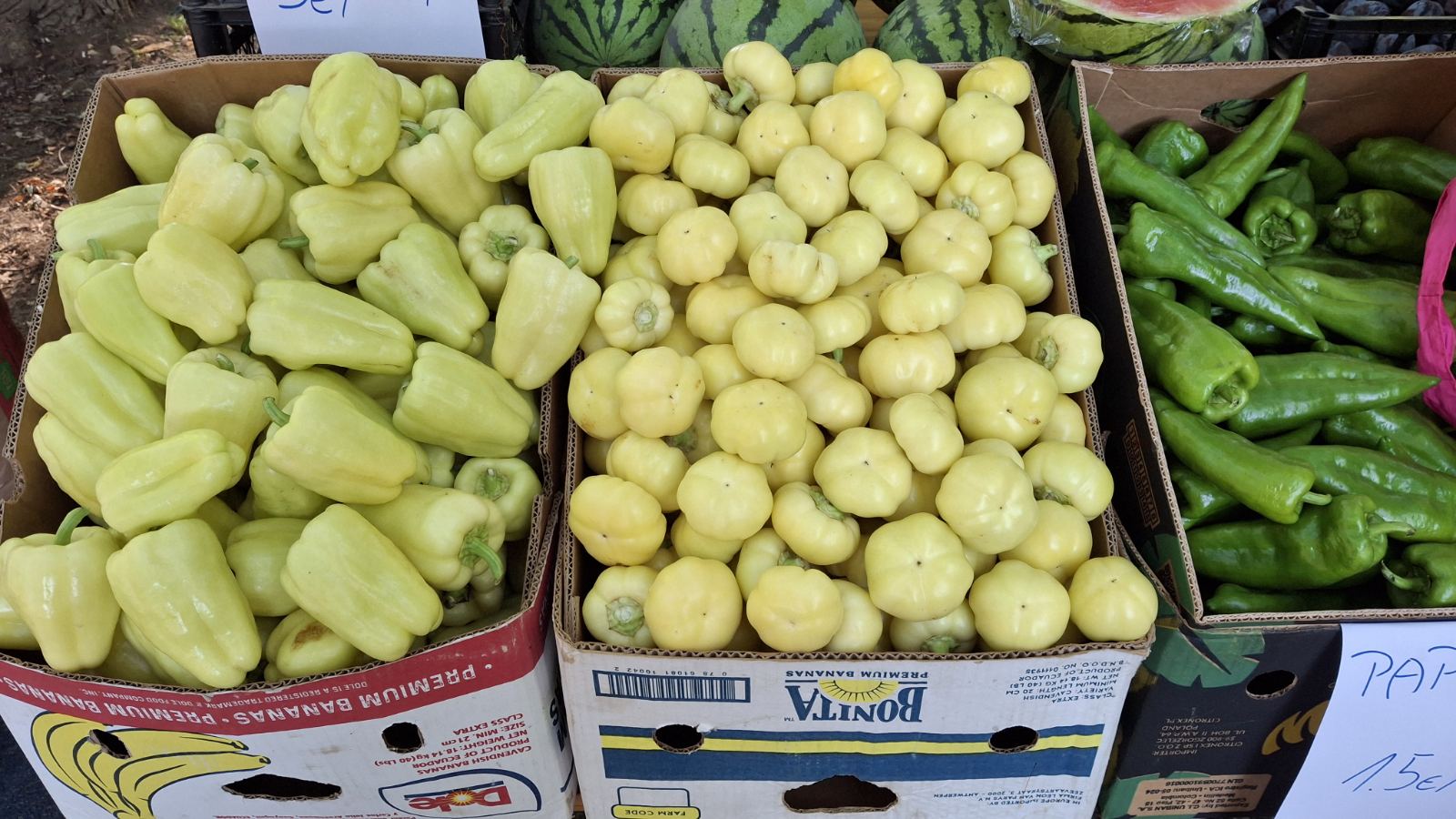 sajam srijedom23072025 (37)