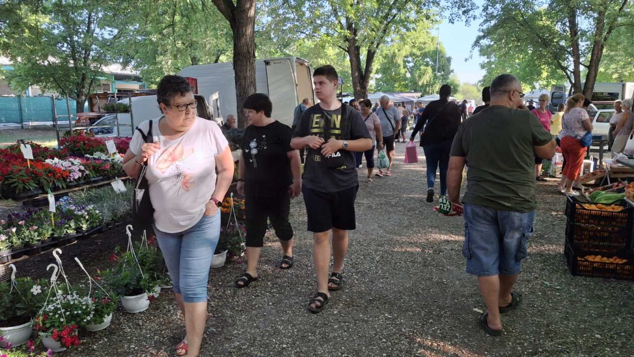 sajam srijedom23072025 (4) sajam srijedom23072025 (4)