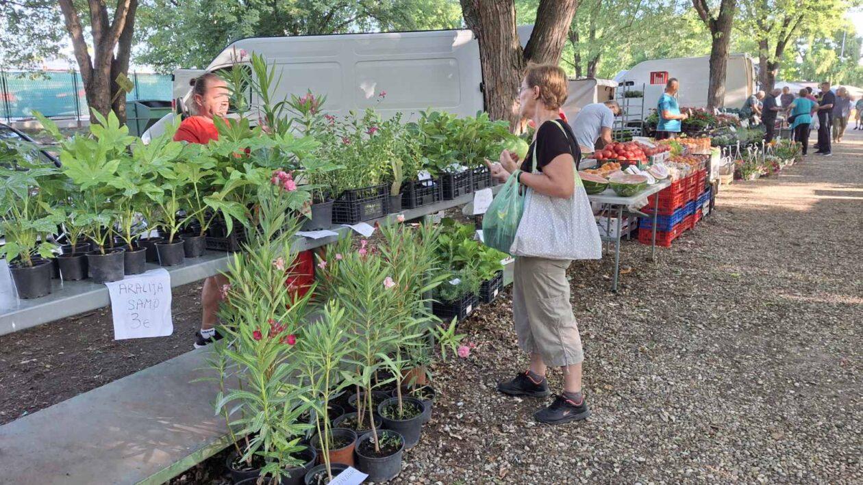 sajam srijedom23072025 (41) sajam srijedom23072025 (41)