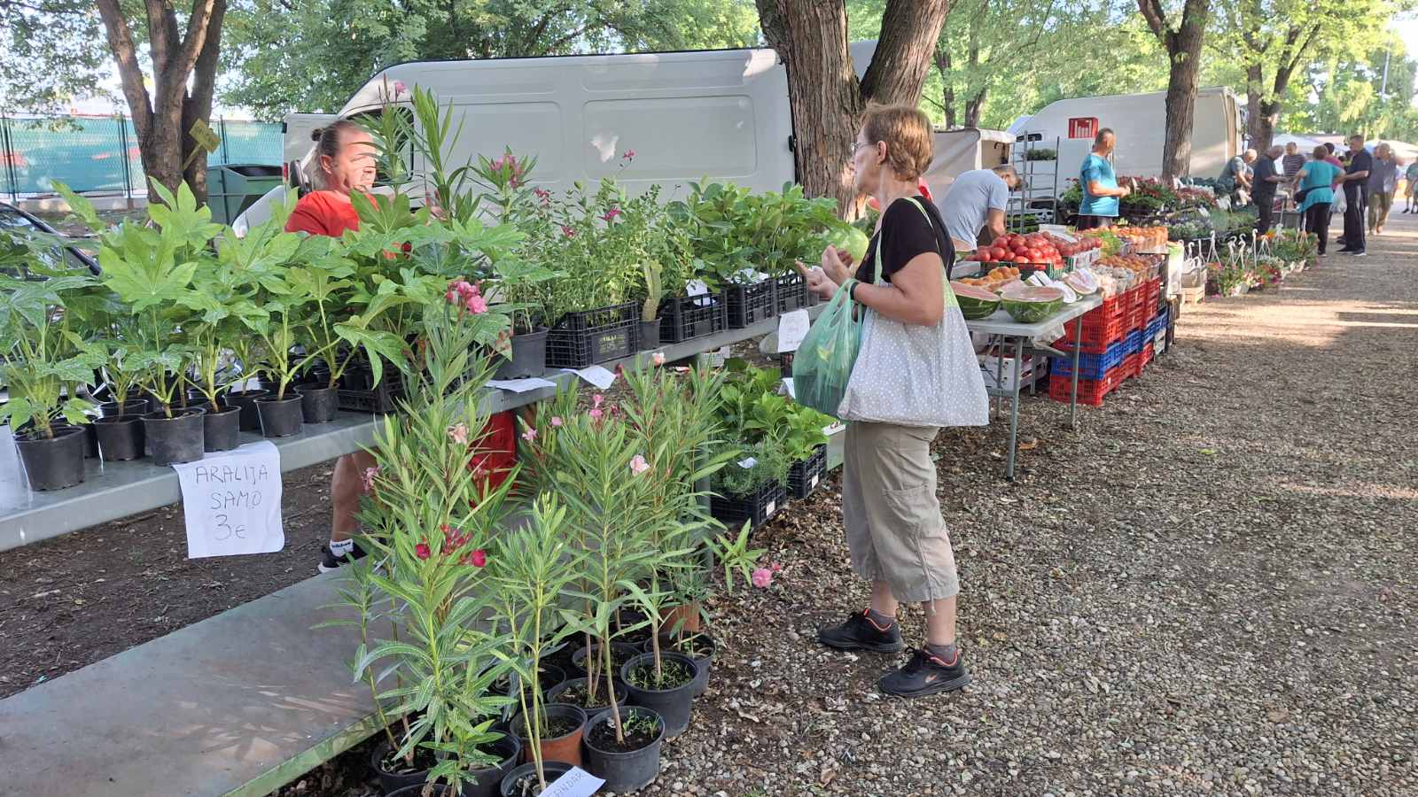 sajam srijedom23072025 (41)