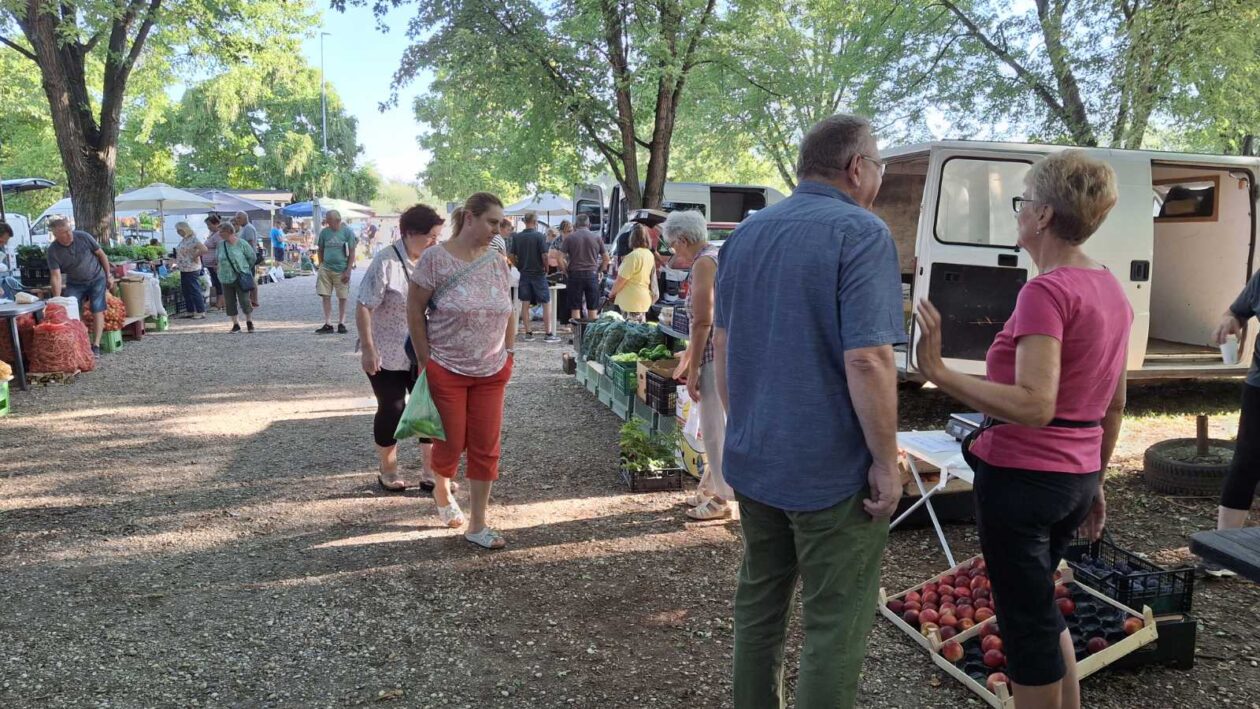 sajam srijedom23072025 (42) sajam srijedom23072025 (42)