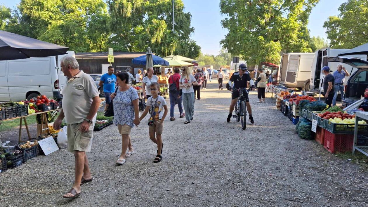 sajam srijedom23072025 (44) sajam srijedom23072025 (44)