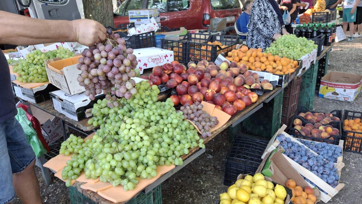 sajam srijedom23072025 (46) sajam srijedom23072025 (46)