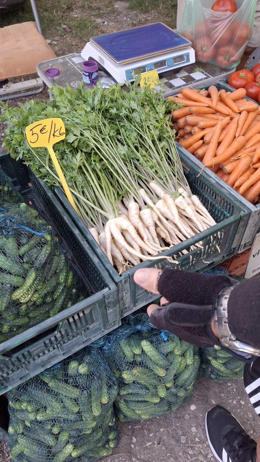 sajam srijedom23072025 (48)