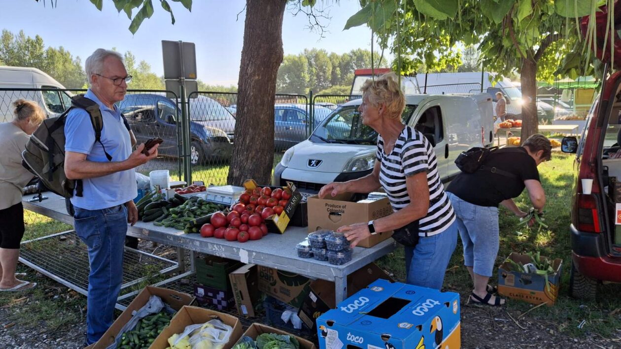 sajam srijedom23072025 (51) sajam srijedom23072025 (51)